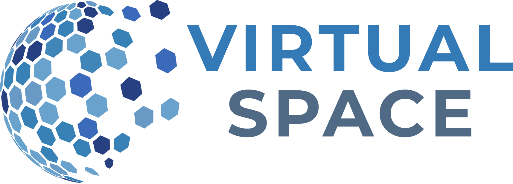 Virtual Space LLC Logo
